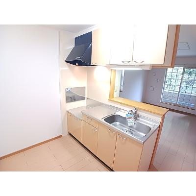 シーサイド・Ｋ 201【管理NO：1-014702101-02010】 ★家具家電は申し込み後に搬入します★の物件画像