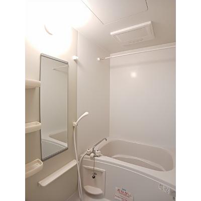 エヴァＤ 102【管理NO：1-013293401-01020】 ★家具家電は申し込み後に搬入します★ ★2026年08月上旬入居可能★の物件画像