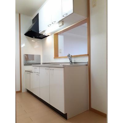 Ｌｉｖｅｒｔｙ　ｄｒｅａｍ　Ⅶ 203【管理NO：1-014611401-02030】 ★家具家電は申し込み後に搬入します★の物件画像