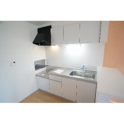 ルミエール 203【管理NO：1-022630401-02030】 ★家具家電は申し込み後に搬入します★の物件画像