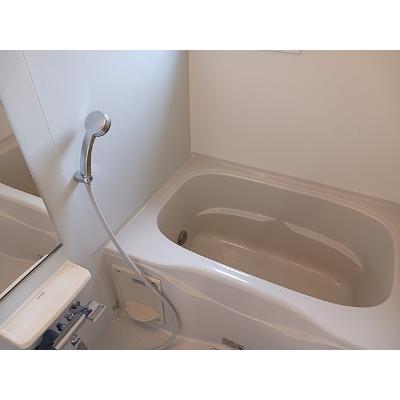 シェルトⅠ 202【管理NO：1-020532501-02020】 ★家具家電は申し込み後に搬入します★の物件画像