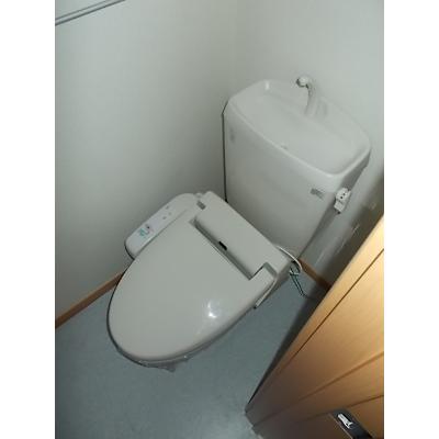 ピーノ　フォリア 102【管理NO：1-014841801-01020】 ★家具家電は申し込み後に搬入します 2026年09月中旬入居可能の物件画像