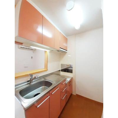 アヴニール　Ⅱ 202【管理NO：1-014181402-02020】 ★家具家電は申し込み後に搬入します★ ★2026年08月中旬入居可能★の物件画像