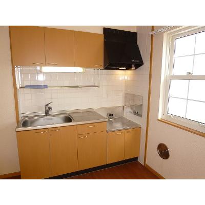 ローズビル 202【管理NO：1-011899701-02020】 ★家具家電は申し込み後に搬入します★の物件画像