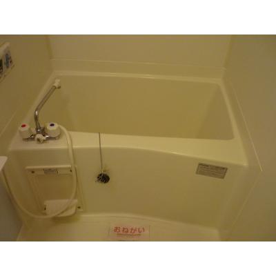 ポポラーレ 206【管理NO：1-012657301-02050】 ★家具家電は申し込み後に搬入します 2026年08月下旬入居可能の物件画像