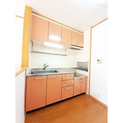 テラス田園Ｂ 201【管理NO：1-012793402-02010】 ★家具家電は申し込み後に搬入します★ ★2026年09月下旬入居可能★の物件画像