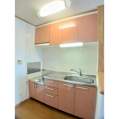 クリサンセマムⅣ 202【管理NO：1-012625801-02020】 ★家具家電は申し込み後に搬入します 2026年09月中旬入居可能の物件画像
