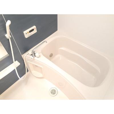スカイワンⅡ 201【管理NO：1-018129302-02010】 ★家具家電は申し込み後に搬入します★ ★2026年08月下旬入居可能★の物件画像