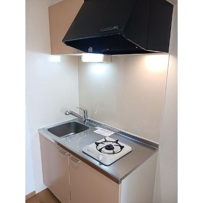 パークサイド・エイト 202【管理NO：1-014157201-02020】 ★家具家電は申し込み後に搬入します★の物件画像