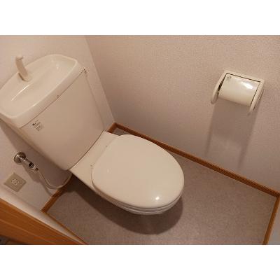 アンダンテ 207【管理NO：1-012900001-02060】 ★家具家電は申し込み後に搬入します★ ★2026年09月中旬入居可能★の物件画像