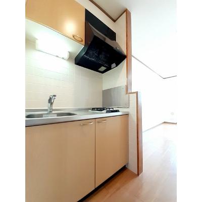 グラス　リバー 202【管理NO：1-010615101-02020】 ★家具家電は申し込み後に搬入します★の物件画像