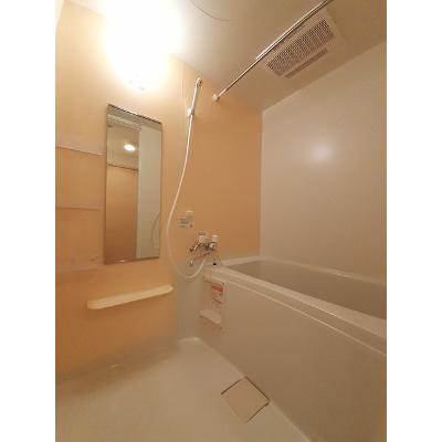 ラ　カーサ・ミーア 204【管理NO：1-016194401-02040】 ★家具家電は申し込み後に搬入します★ ★2026年09月上旬入居可能★の物件画像