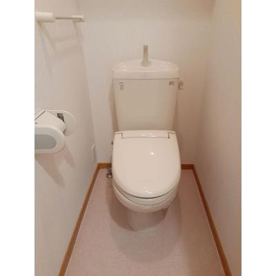 コニファー 101【管理NO：1-015286701-01010】 ★家具家電は申し込み後に搬入します 2026年08月中旬入居可能の物件画像