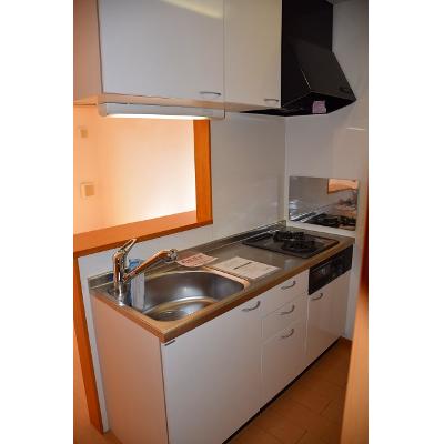 クレメントＳ．Ｋ 202【管理NO：1-014907601-02020】 ★家具家電は申し込み後に搬入します★の物件画像