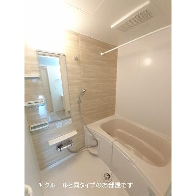 セレストローザ 101【管理NO：1-028729401-01010】 ★家具家電は申し込み後に搬入します★ ★2026年11月下旬入居可能★の物件画像
