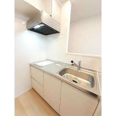 ルーエ 202【管理NO：1-027014301-02020】 ★家具家電は申し込み後に搬入します★の物件画像