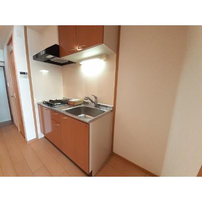 サニーレジデンス吉野 405【管理NO：1-014108901-04040】 ★家具家電は申し込み後に搬入します 2026年08月上旬入居可能の物件画像