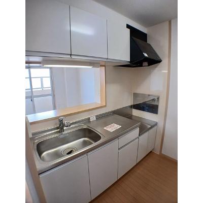 ロイヤルメドウ 310【管理NO：1-014356801-03080】 ★家具家電は申し込み後に搬入します 2026年09月中旬入居可能の物件画像