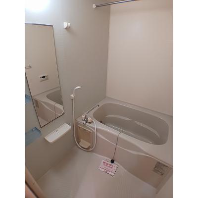 ロイヤルメドウ 310【管理NO：1-014356801-03080】 ★家具家電は申し込み後に搬入します 2026年09月中旬入居可能の物件画像
