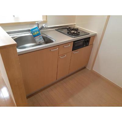 ＥＸＥ　ＶＩＬＬＡ　ＷＥＳＴ 208【管理NO：1-014908001-02070】 ★家具家電は申し込み後に搬入します 2026年09月中旬入居可能の物件画像