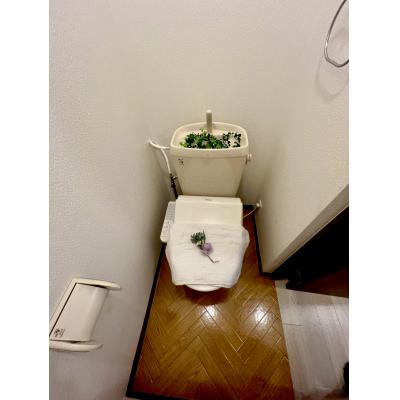 【瀬戸市/三郷駅/駐車場/無料Wi-Fi/角部屋/BT別・独立洗面台】マルキーズ三郷 ファミマンの物件画像