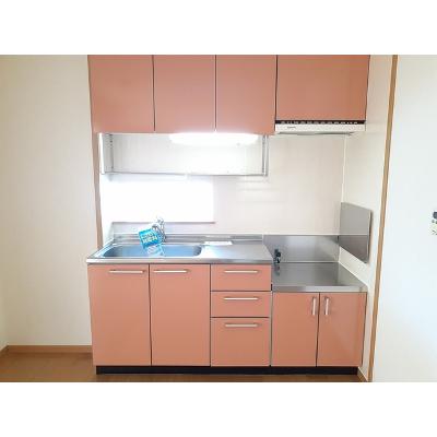プチ　グレーヌＢ 103【管理NO：1-013285502-01030】 ★家具家電は申し込み後に搬入します★の物件画像