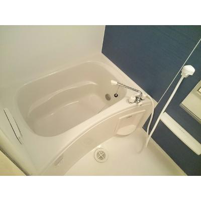 パインコーンＡ 204【管理NO：1-015062301-02040】 ★家具家電は申し込み後に搬入します★ ★2026年09月上旬入居可能★の物件画像