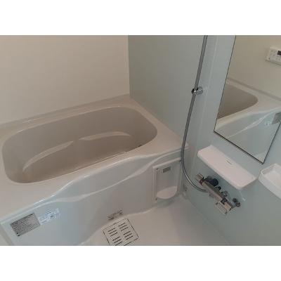 メゾン　シンシア 101【管理NO：1-023526901-01010】 ★家具家電は申し込み後に搬入します 2026年08月上旬入居可能の物件画像