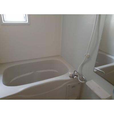 カトレア 101【管理NO：1-017266801-01010】 ★家具家電は申し込み後に搬入します★ ★2026年09月中旬入居可能★の物件画像