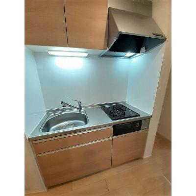 エレメントＳ 103【管理NO：1-024995601-01030】 ★家具家電は申し込み後に搬入します★の物件画像