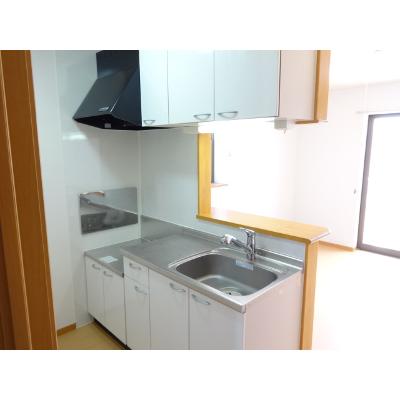 インディアンサマー 201【管理NO：1-015124201-02010】 ★家具家電は申し込み後に搬入します★の物件画像