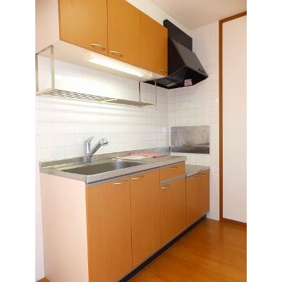 サンコリーヌ　Ｂ 201【管理NO：1-011613001-02010】 ★家具家電は申し込み後に搬入します★の物件画像