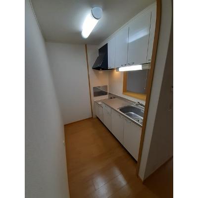 セイラン 203【管理NO：1-014246301-02030】 ★家具家電は申し込み後に搬入します★ ★2026年09月上旬入居可能★の物件画像