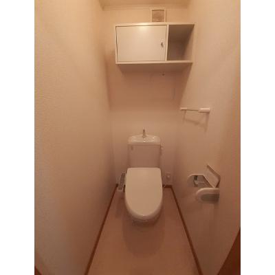セイラン 203【管理NO：1-014246301-02030】 ★家具家電は申し込み後に搬入します★ ★2026年09月上旬入居可能★の物件画像