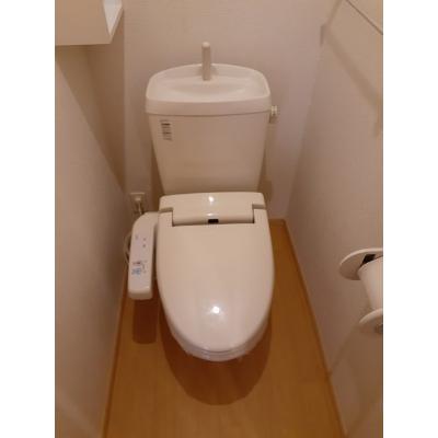 セイバリー・パレスⅡ 101【管理NO：1-014946102-01010】 ★家具家電は申し込み後に搬入します★ ★2026年11月中旬入居可能★の物件画像