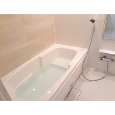 サングレースパイン 202【管理NO：1-026332901-02020】 ★家具家電は申し込み後に搬入します 2026年09月中旬入居可能の物件画像