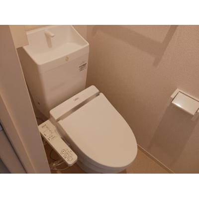 ベル　シティー　Ⅱ 206【管理NO：1-022203301-02050】 ★家具家電は申し込み後に搬入します★ ★2026年09月中旬入居可能★の物件画像