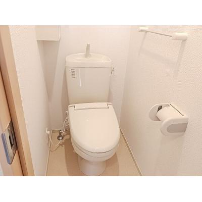 桜ルミネンス 203【管理NO：1-017128801-02030】 ★家具家電は申し込み後に搬入します★ ★2026年09月中旬入居可能★の物件画像