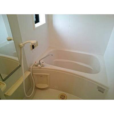 フォレスト・ケイ弐番館 202【管理NO：1-012979401-02020】 ★家具家電は申し込み後に搬入します★ ★2026年08月下旬入居可能★の物件画像