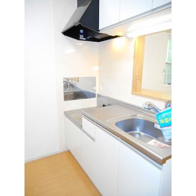 スターオアシス 101【管理NO：1-016549101-01010】 ★家具家電は申し込み後に搬入します★の物件画像