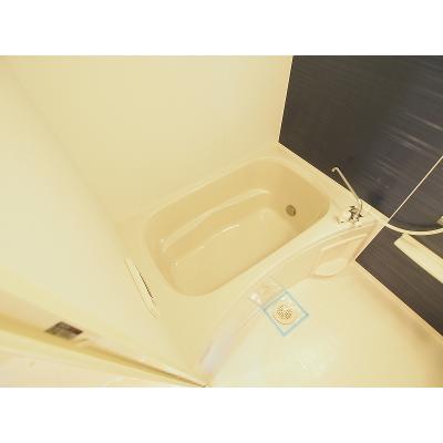 メゾン・ド・エスポワールＡ 303【管理NO：1-018646001-03030】 ★家具家電は申し込み後に搬入します★ ★2026年10月下旬入居可能★の物件画像
