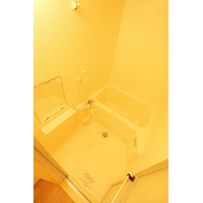 アルカディア新開 103【管理NO：1-006903301-01030】 ★家具家電は申し込み後に搬入します★ ★2026年09月下旬入居可能★の物件画像