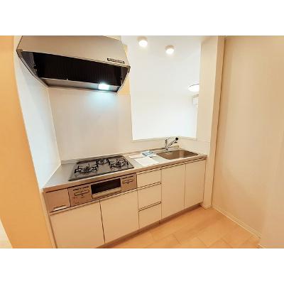 グランディール 203【管理NO：1-025358501-02030】 ★家具家電は申し込み後に搬入します★ ★2026年09月中旬入居可能★の物件画像