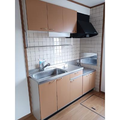 ドルフィンＳ 105【管理NO：1-010727701-01040】 ★家具家電は申し込み後に搬入します★の物件画像