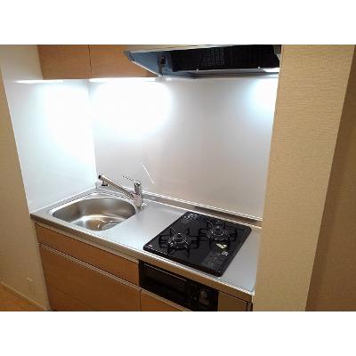 サーフェリッツ 305【管理NO：1-025491201-03040】 ★家具家電は申し込み後に搬入します 2026年08月下旬入居可能の物件画像