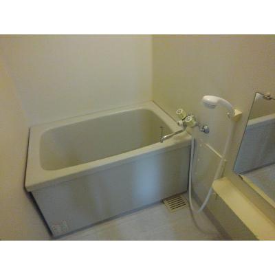パイングロウブＴＭ 205【管理NO：1-003653101-02040】 ★家具家電は申し込み後に搬入します 2026年09月中旬入居可能の物件画像