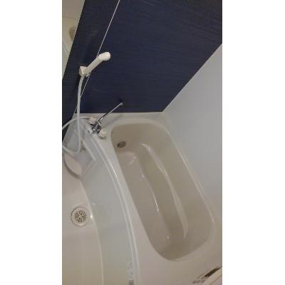 カーサ・ドマーニ・アオイⅠ 202【管理NO：1-018583201-02020】 ★家具家電は申し込み後に搬入します★ ★2026年09月上旬入居可能★の物件画像