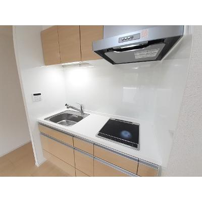 グランシャリオ　清瀬 309【管理NO：1-025796601-03090】 ★家具家電は申し込み後に搬入します★ ★2026年08月下旬入居可能★の物件画像