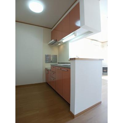 エターナル 202【管理NO：1-013262301-02020】 ★家具家電は申し込み後に搬入します★の物件画像