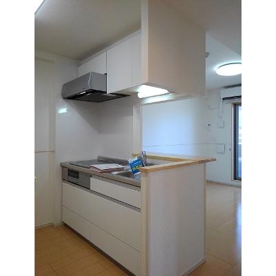 トラディション車町 502【管理NO：1-020381301-05020】 ★家具家電は申し込み後に搬入します★ ★2026年09月中旬入居可能★の物件画像